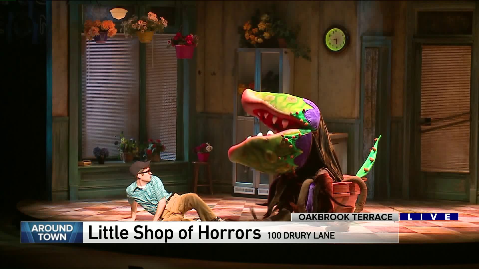 around town previews little shop of horrors